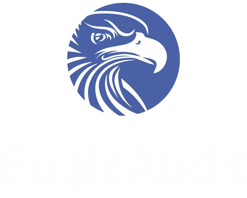 Eagle Audit Logo