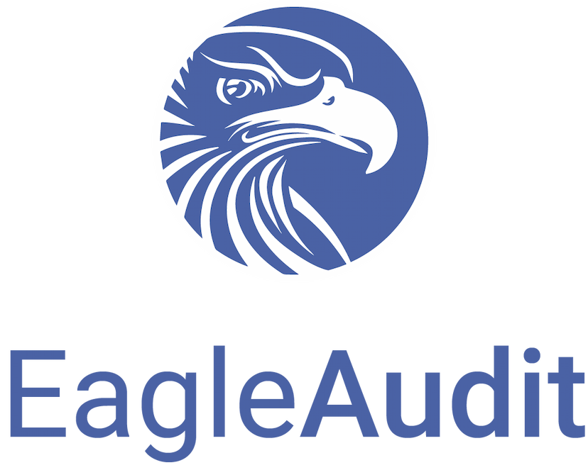 Eagle Audit Logo